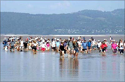 Morecambe Bay Walk